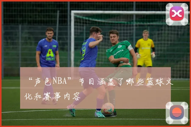 “声色NBA”节目涵盖了哪些篮球文化和赛事内容