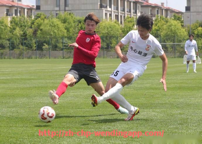 问鼎娱乐官网-德甲最美足球队评选及球队形象塑造分析